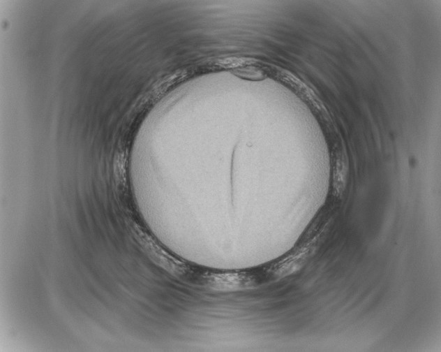 X0000085770473200704131808