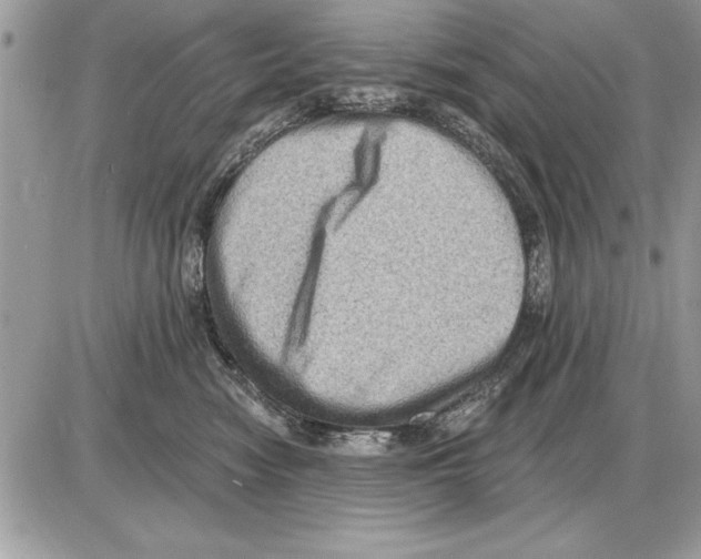 X0000085770474200704131808