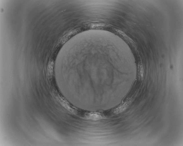 X0000085770475200704131808