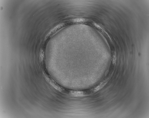 X0000085770476200704131808