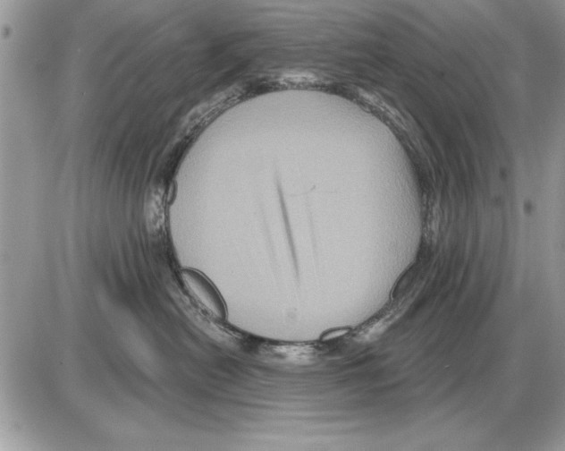 X0000085770478200704131808