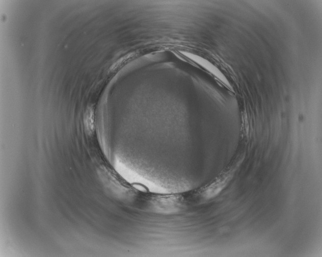 X0000085770479200704131808