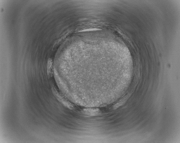 X0000085770480200704131808