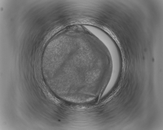 X0000085770481200704131807