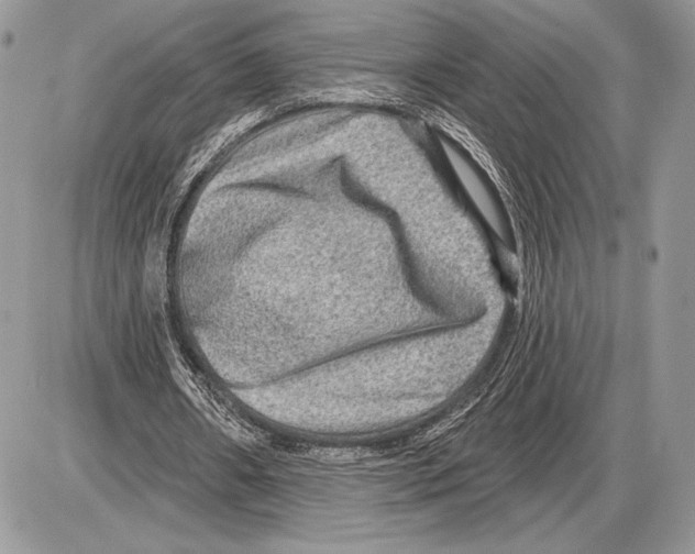 X0000085770482200704131807