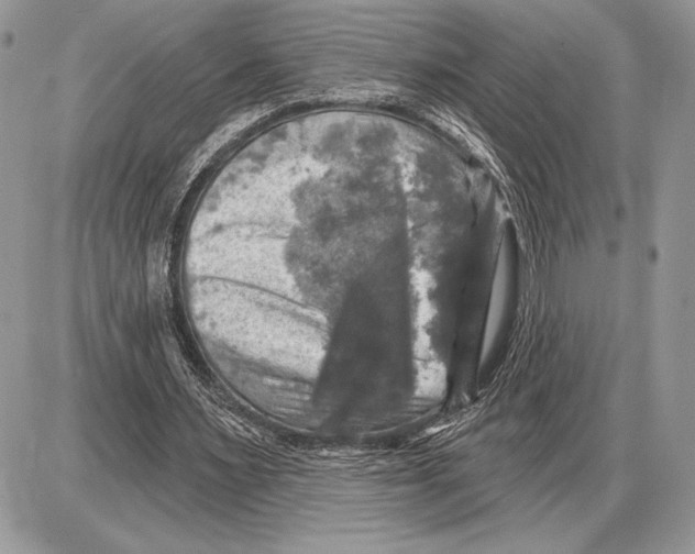 X0000085770483200704131807