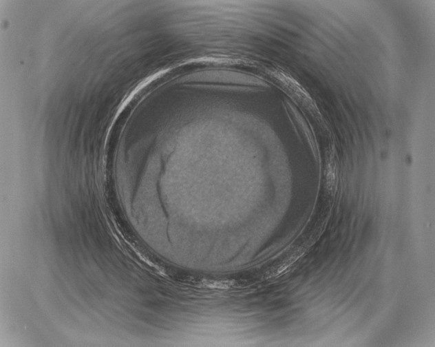 X0000085770484200704131807