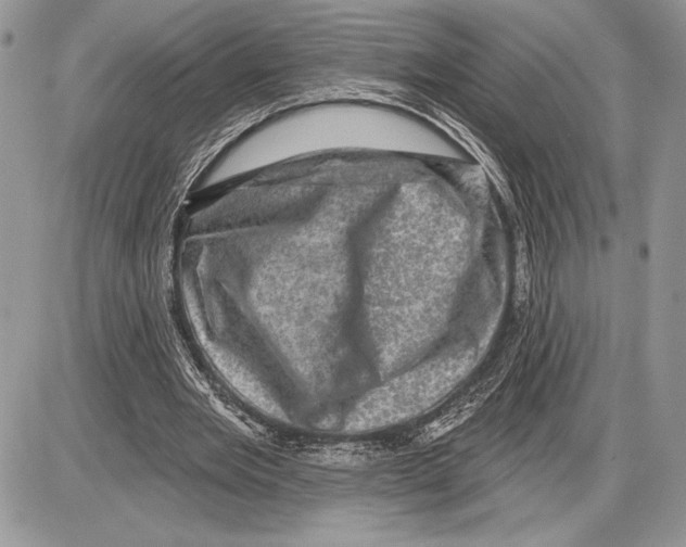 X0000085770485200704131807