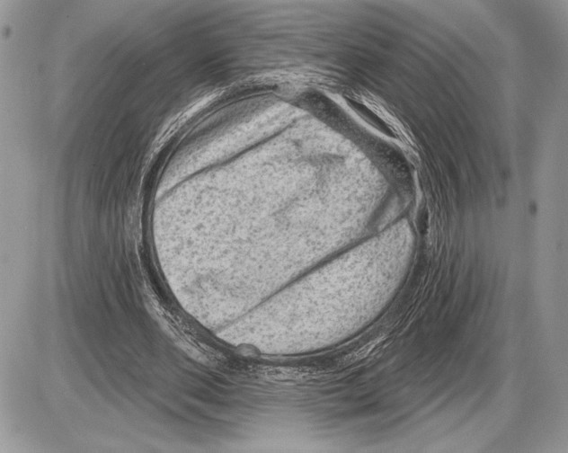 X0000085770486200704131807