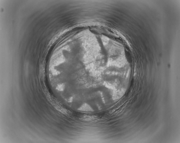 X0000085770487200704131807