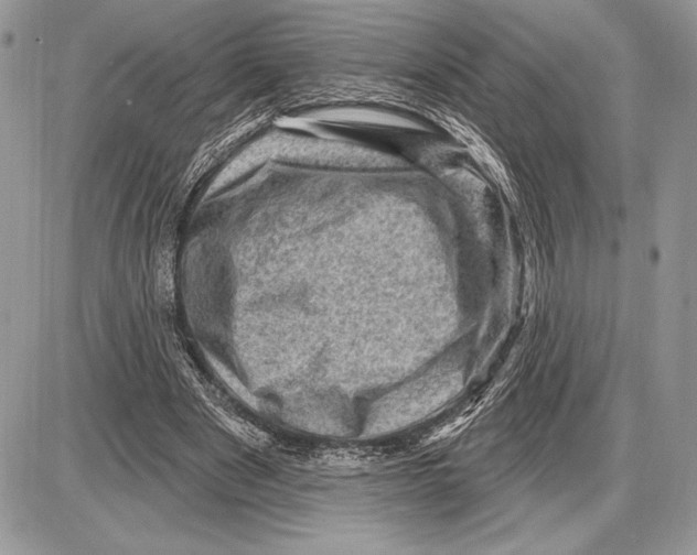 X0000085770489200704131807