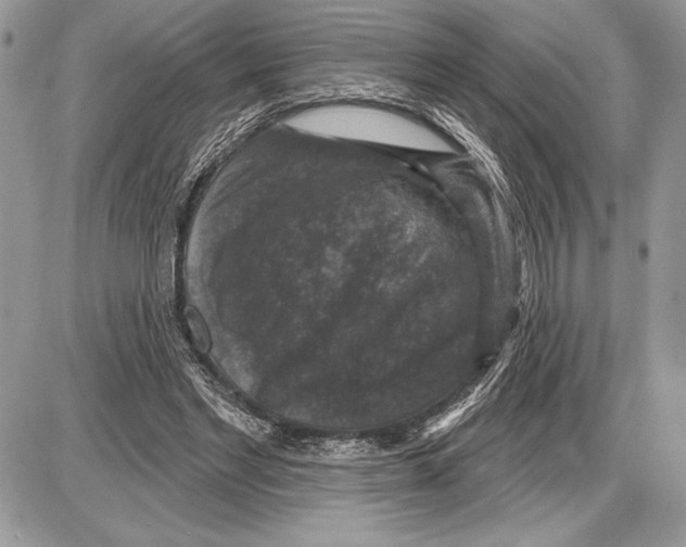 X0000085770493200704131807