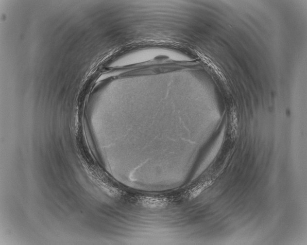 X0000085770494200704131807