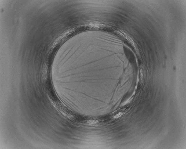 X0000085770496200704131807