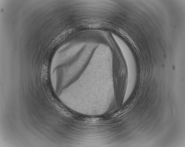 X0000085770497200704131807