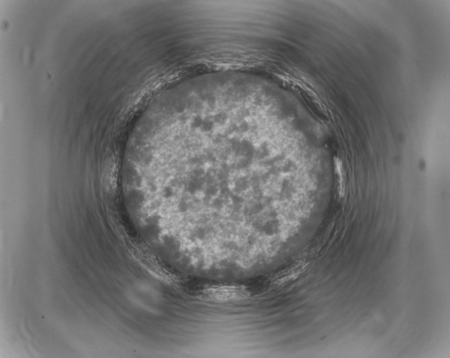 X0000085770499200704131807