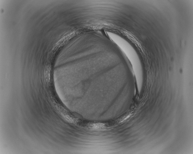 X0000085770501200704131807