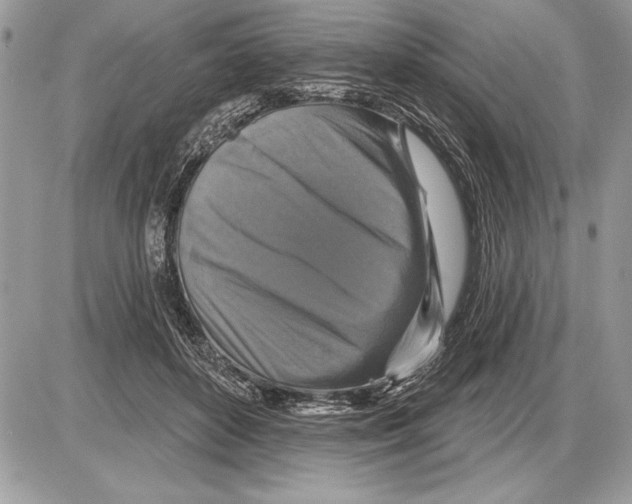 X0000085770504200704131807