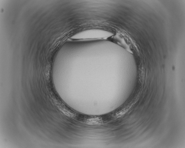 X0000085770505200704131807