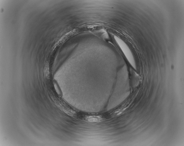 X0000085770508200704131807