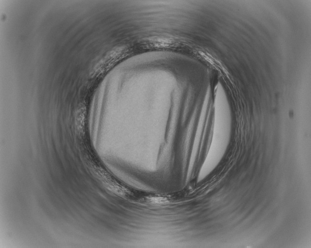 X0000085770509200704131807