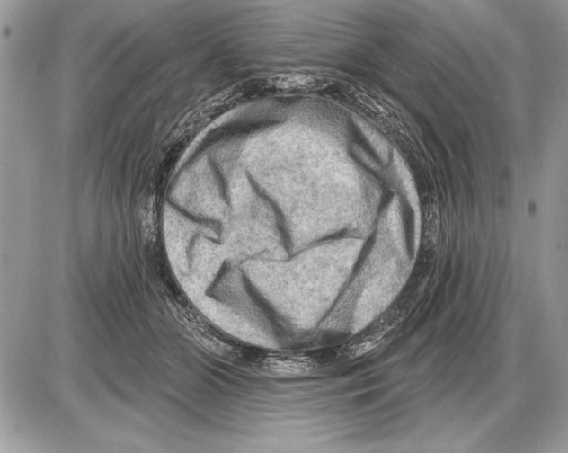 X0000085770510200704131807