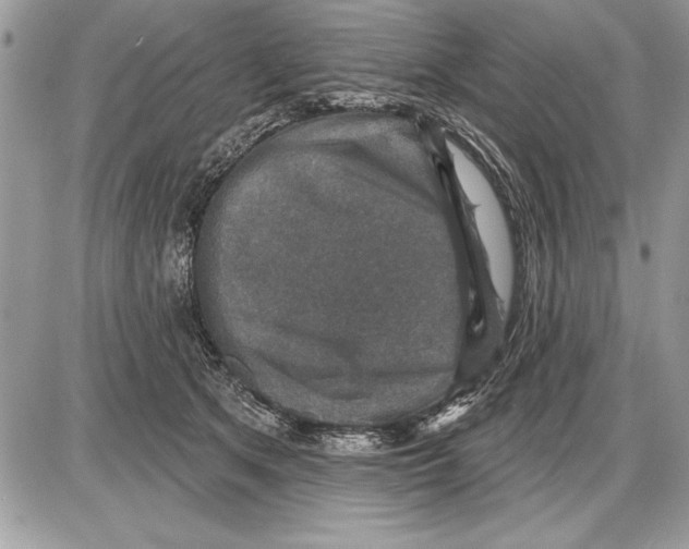 X0000085770513200704131807