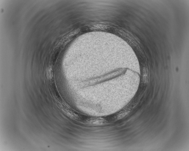 X0000085770514200704131807