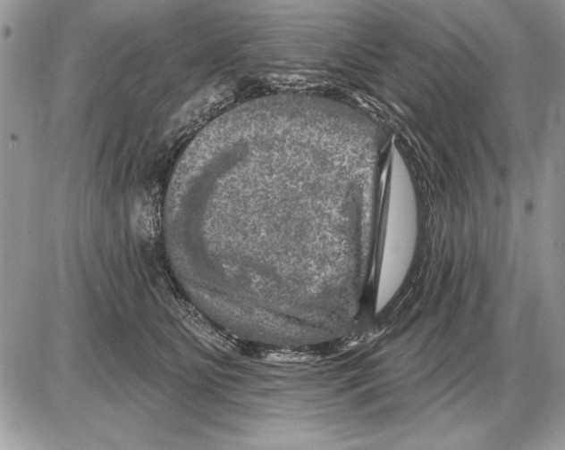 X0000085770515200704131807