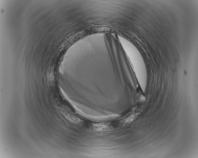 X0000085770516200704131807