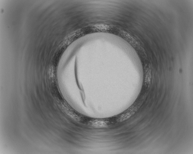 X0000085770518200704131807