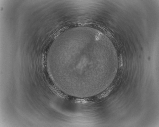 X0000085770519200704131807