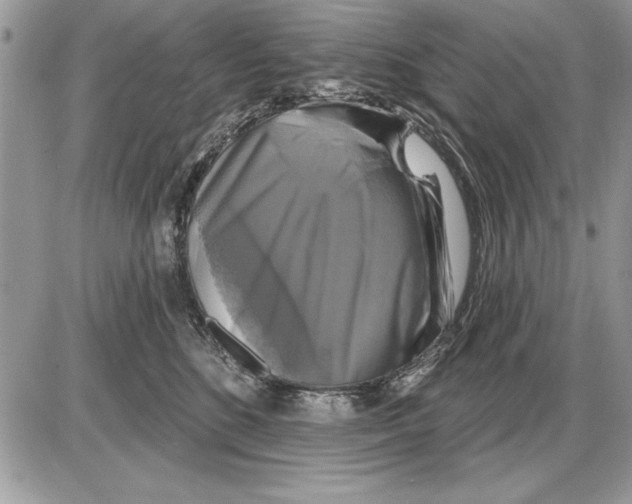 X0000085770520200704131807