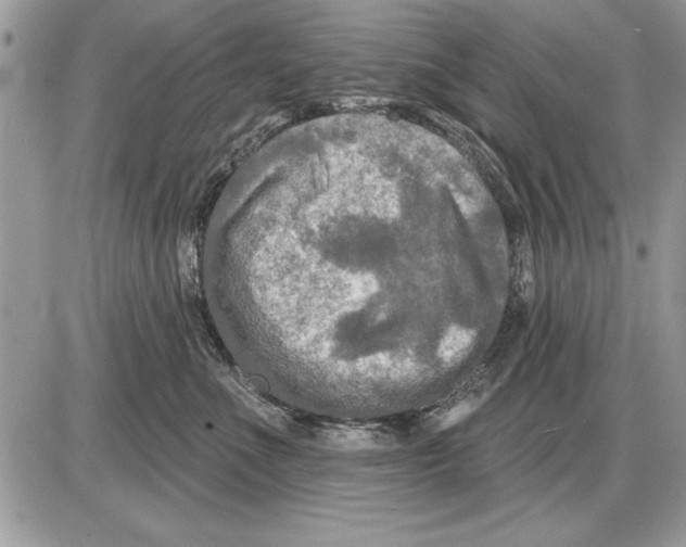 X0000085770523200704131806