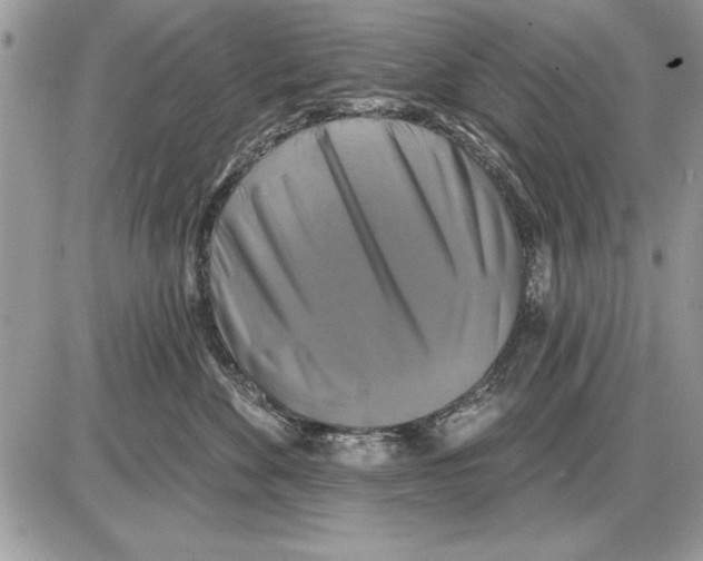 X0000085770524200704131806