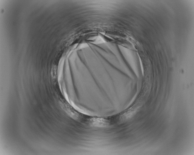 X0000085770528200704131806