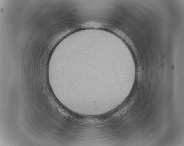 X0000085770529200704131806