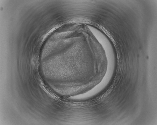 X0000085770530200704131806