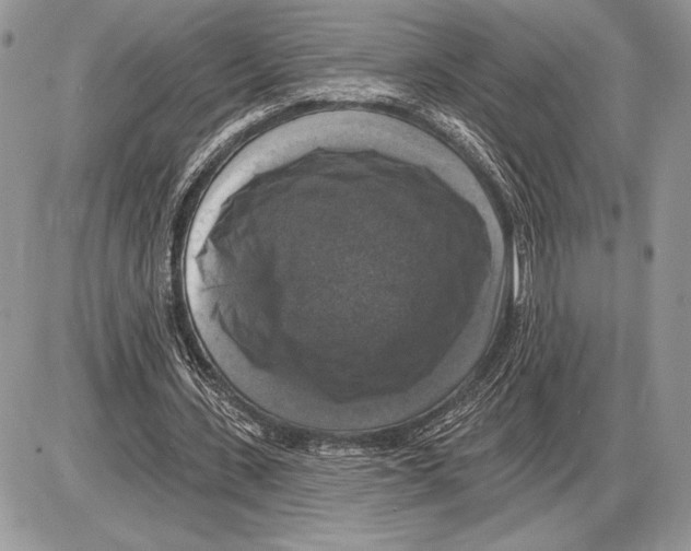 X0000085770531200704131806