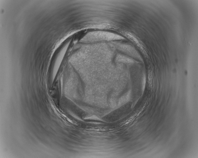 X0000085770532200704131806