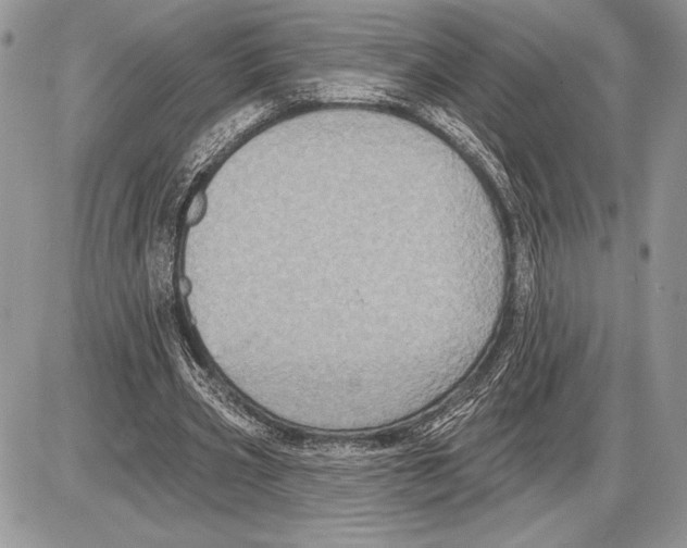 X0000085770533200704131806