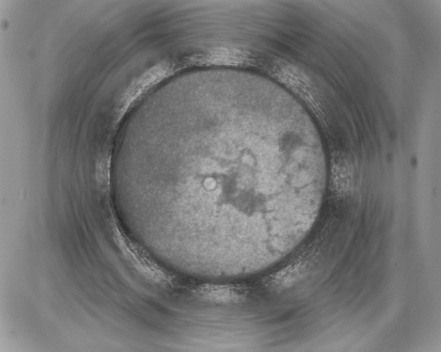 X0000085770534200704131806