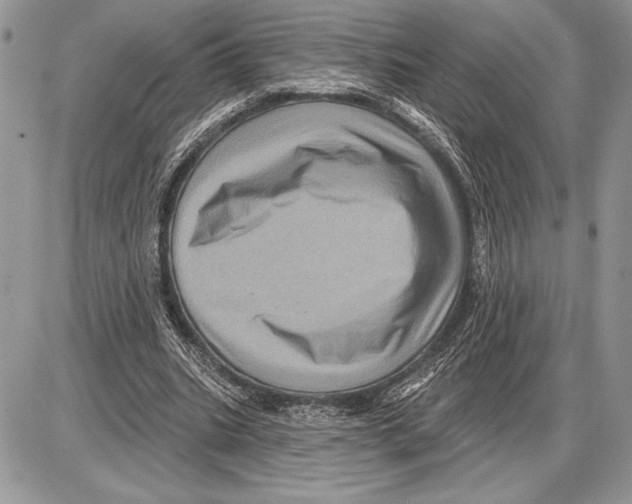 X0000085770535200704131806