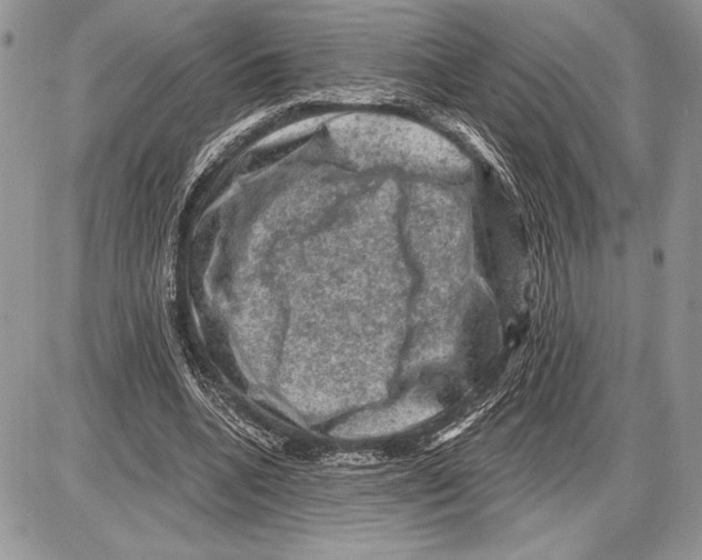 X0000085770536200704131806