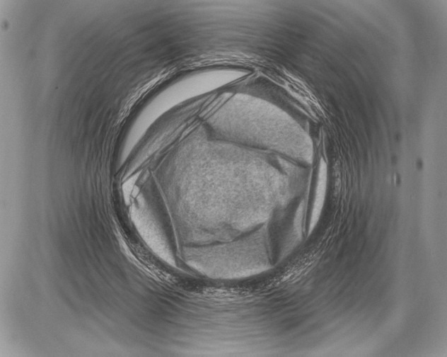 X0000085770538200704131806