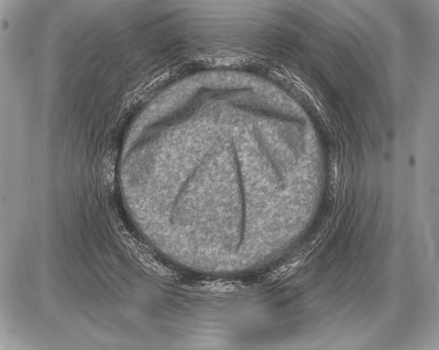 X0000085770545200704131806