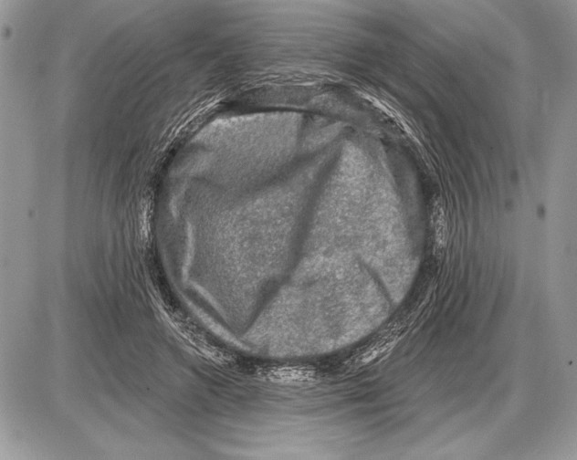 X0000085770546200704131806