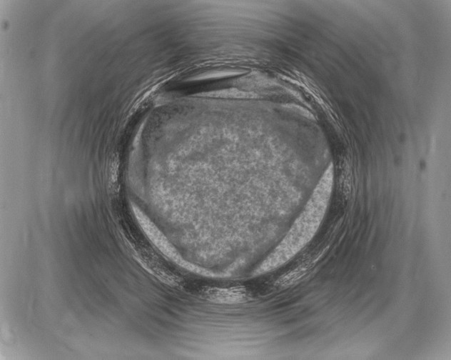 X0000085770548200704131806