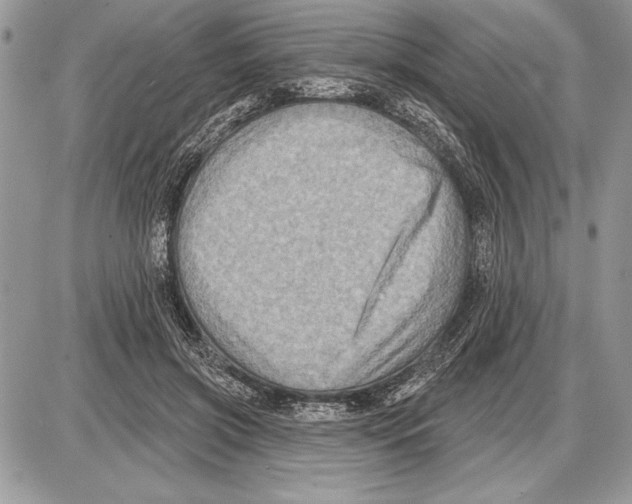 X0000085770549200704131806