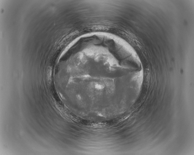 X0000085770550200704131806